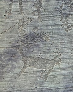 Vallée de Camonica, pétroglyphes sur roche
