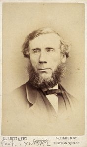 John Tyndall, physicien irlandais, vers 1875 - Frederick (attr. to) Barnard