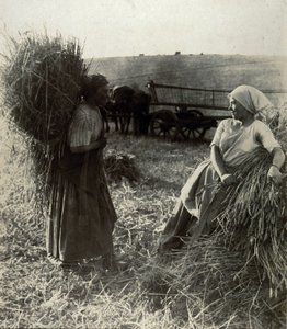 Les Moissonneuses, vers 1900 - Frederick (attr. to) Barnard