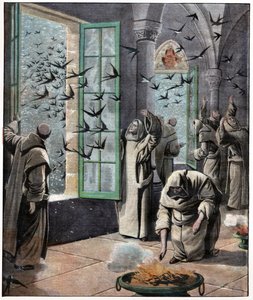 Sauvetage des hirondelles