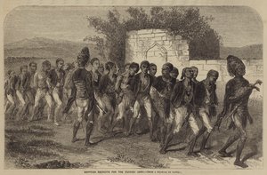 Recrues égyptiennes pour l