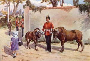 Wildebeestes (ou Gnou à queue blanche), animaux de compagnie des South Wales Borderers - after Edgar Alfred Holloway