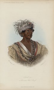 Tuch-ee, un Chef de Guerre Cherokee - after George Catlin