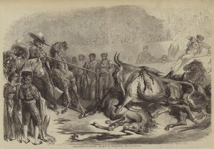 Corrida à Bayonne, le coup du picador - Gustave after Dore