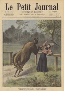 Une femme frappée par un cheval