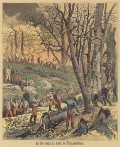 Feu dans la forêt de Fontainebleau