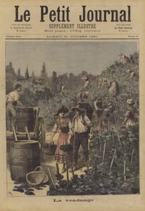 La vendange
