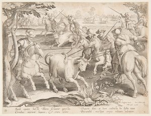 Capture de taureaux sauvages - after Jan van der Straet, called Stradanus