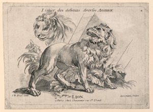 Études de Lions, Planche 4 de "Cahier des Desseins Diverses Animaux"