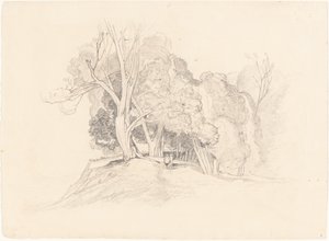 Paysage avec des arbres