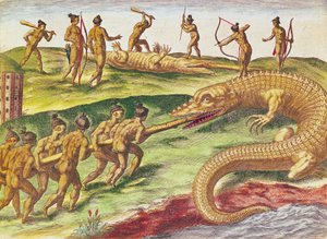 Chasse aux crocodiles, de 