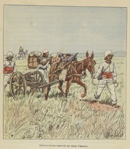 Canons hovas ramenés au camp français - after Louis Charles Bombled