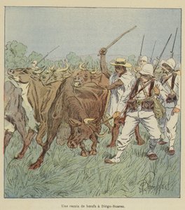Une razzia de bœufs à Diego-Suarez - after Louis Charles Bombled