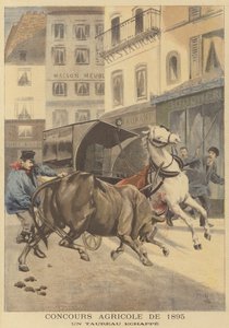 Salon agricole de 1895. Un taureau échappé