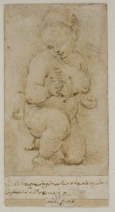 Le jeune Jean-Baptiste - after Raphael
