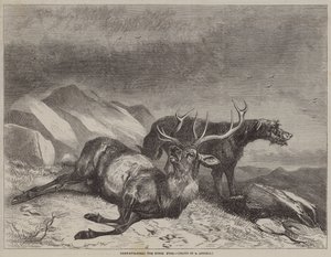 Chasse au cerf, le cerf mourant - after Richard Ansdell