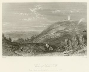 Vue de Leith Hill - after Thomas Allom