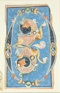 Initiale ornée O - after Ubekendt