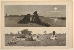 Flirter sur le rivage et dans le pré