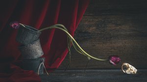 Crâne floral sombre - alan shapiro