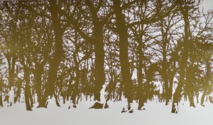 Arbres de vie
