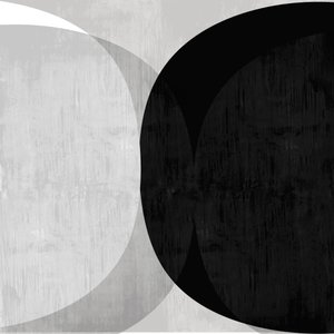 Courbes abstraites en noir et blanc