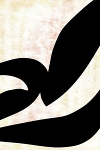 Courbes calligraphiques abstraites