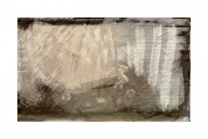 Lumière de la forêt (résumé) - cartissi