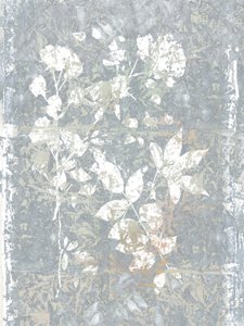 Abstrait : Grey Botanicals