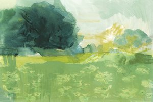 Lumière de prairie abstraite - cartissi