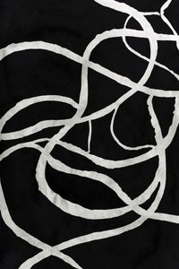 Résumé : Silver Flow - cartissi