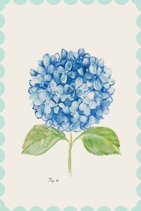 Illustration d