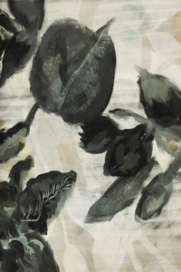 Feuilles botaniques sombres - cartissi