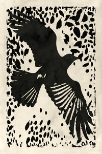 Le corbeau noir en plein vol - cartissi