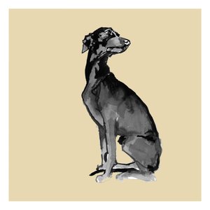 Élégant Black Dog - cartissi
