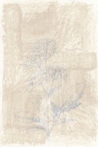 Esquisse botanique délavée - cartissi