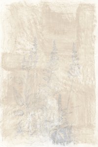 Esquisses botaniques défraîchies