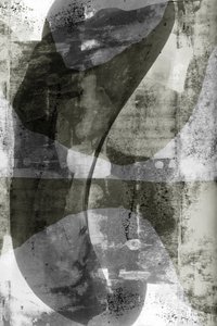 Formes monochromes fluides - cartissi