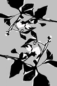 Motif botanique graphique - cartissi