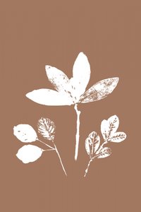 Feuilles contrastées - cartissi