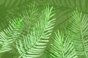Feuilles de palmier tropicales luxuriantes