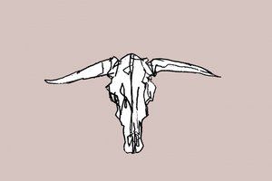 Crâne Longhorn minimaliste