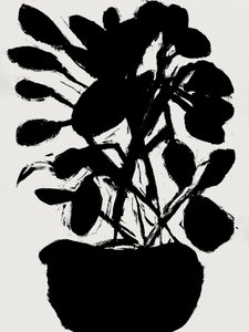 Plante en pot minimaliste - cartissi