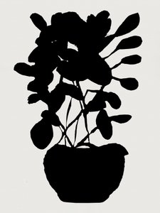 Silhouette botanique moderne - cartissi