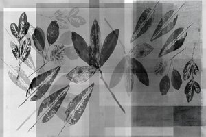 Superpositions botaniques monochromes - cartissi