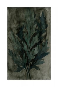Feuilles botaniques Moody - cartissi