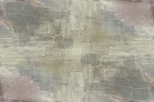 Flux organique en sourdine - cartissi