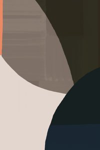 Formes organiques aux teintes douces - cartissi