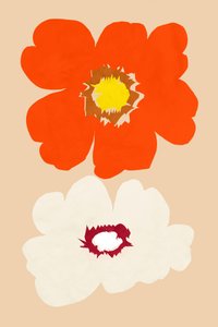 Fleurs orange et blanches - cartissi