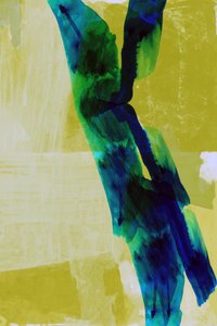 Flux de couleurs naturel - cartissi